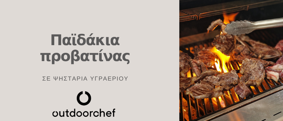 ΠΑΪΔΑΚΙΑ ΠΡΟΒΑΤΙΝΑΣ