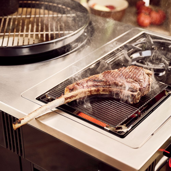 Blazinglas L Universal Outdoorchef