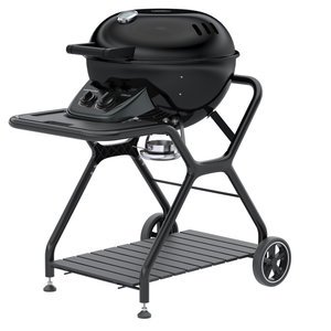 ASCONA 570 G EVO EASY CHECK