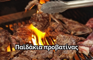 ΠΑΪΔΑΚΙΑ ΠΡΟΒΑΤΙΝΑΣ